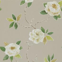 DOIL211070 Обои Sanderson Bloomsbury Canvas Wallpaper