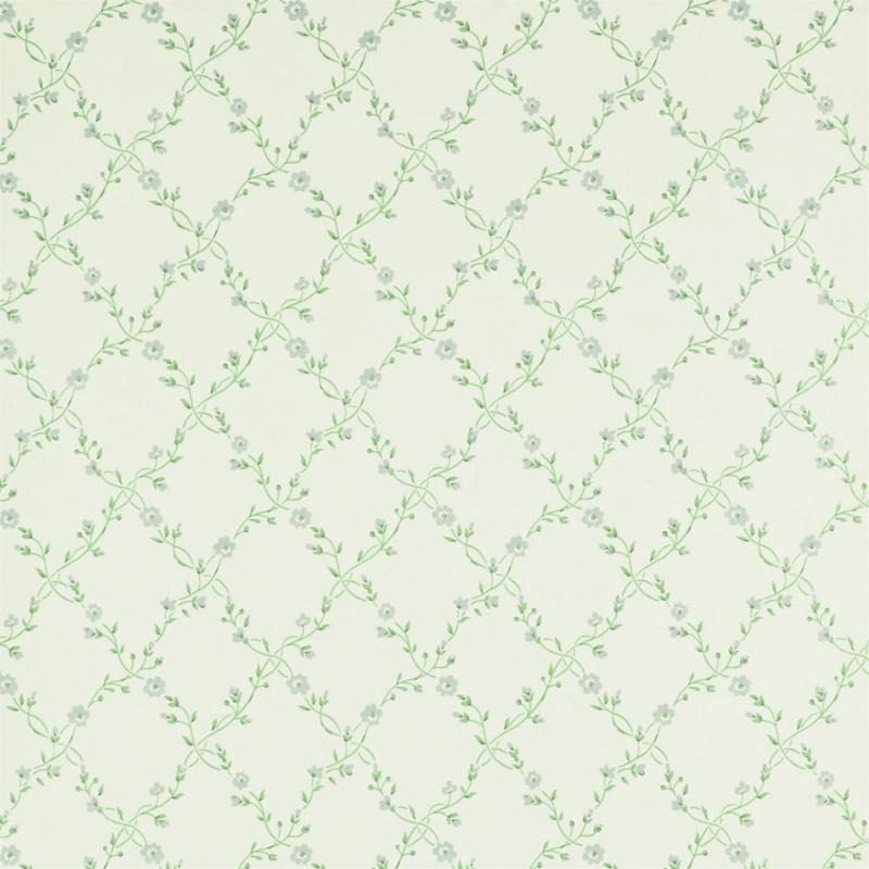 DDWP211699 Обои Sanderson Dimity Papers