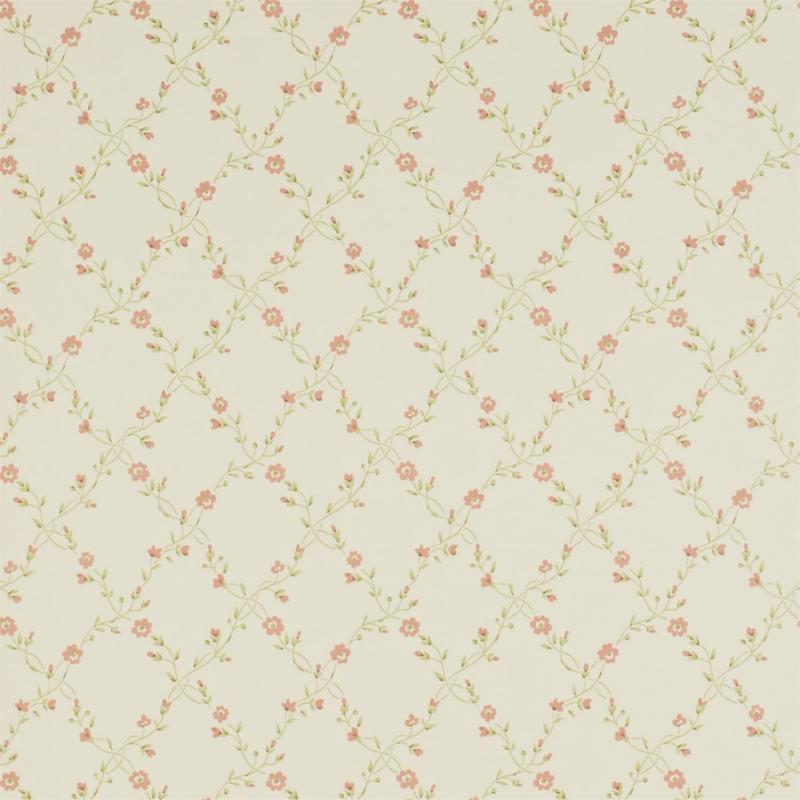 DDWP211696 Обои Sanderson Dimity Papers