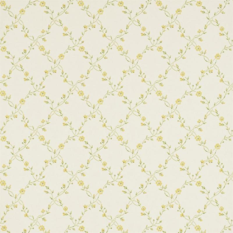 DDWP211698 Обои Sanderson Dimity Papers