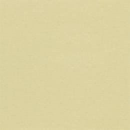 DDWP211704 Обои Sanderson Dimity Papers