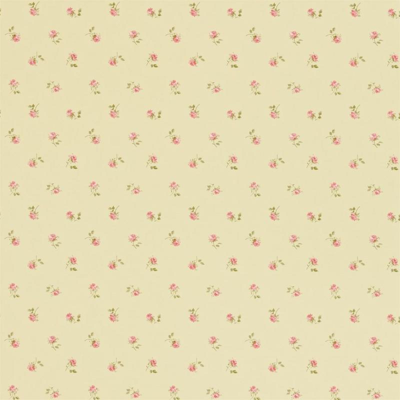 DDWP211708 Обои Sanderson Dimity Papers