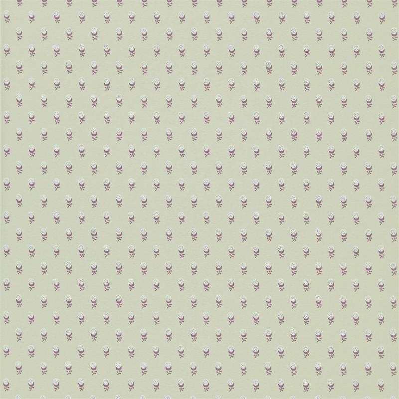 DDWP211701 Обои Sanderson Dimity Papers