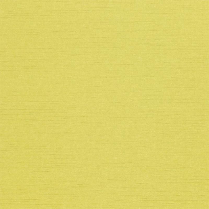 DDWP211705 Обои Sanderson Dimity Papers