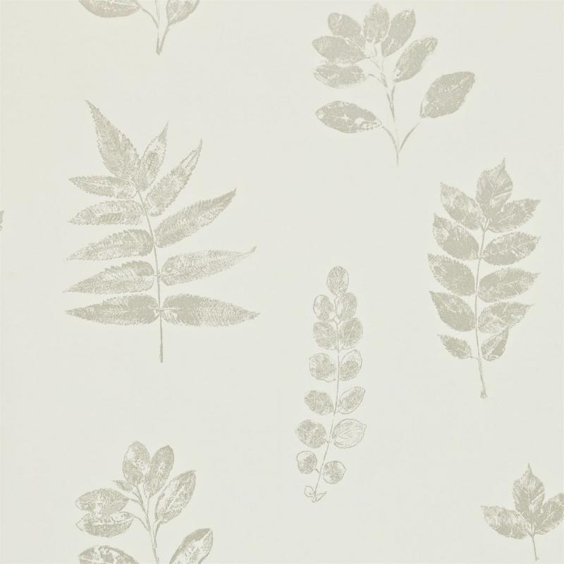 DMAD212851 Обои Sanderson Madison Wallpaper