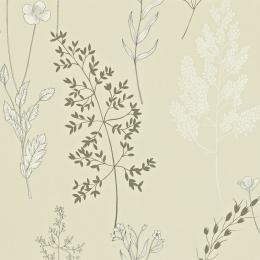 DMAD212861 Обои Sanderson Madison Wallpaper