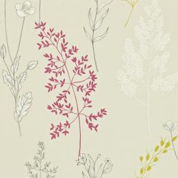DMAD212860 Обои Sanderson Madison Wallpaper