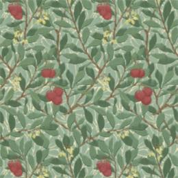 DMCW210406 Обои Morris&amp;Co Wallpaper Compendium II