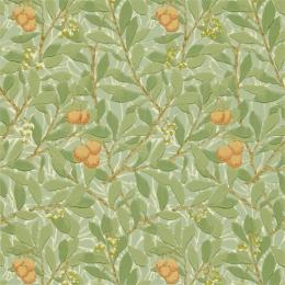 DMCW210408 Обои Morris&amp;Co Wallpaper Compendium II