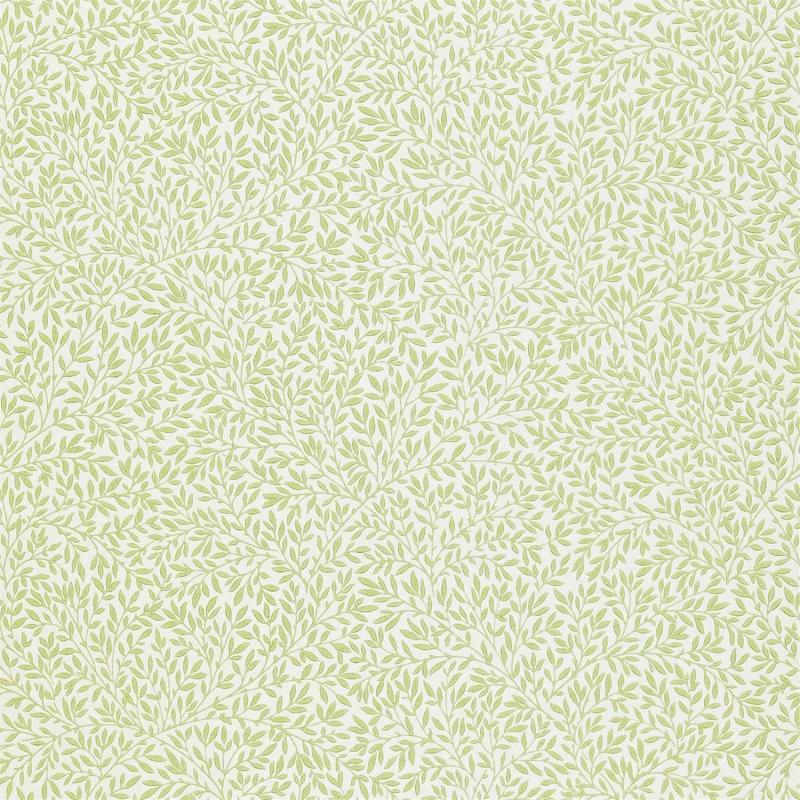 DMCW210469 Обои Morris&amp;Co Wallpaper Compendium II