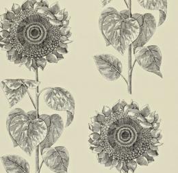 DVIWPA104 Обои Sanderson Vintage Wallpapers