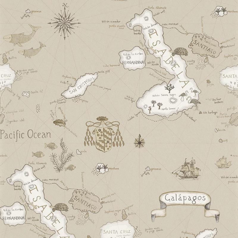 DVOY213365 Обои Sanderson Voyage of Discovery Wallpapers