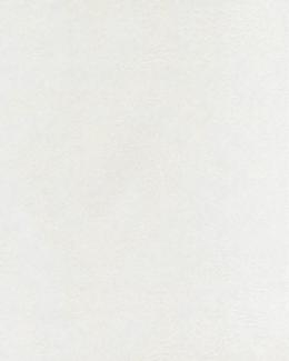 5045-4 Обои Atlas Wallcovering Exception