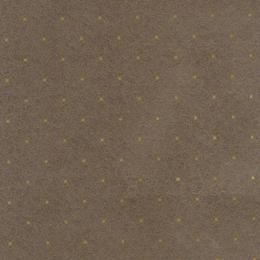 5049-4 Обои Atlas Wallcovering Exception