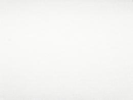 223360 Обои ProSpero Elegant Shades