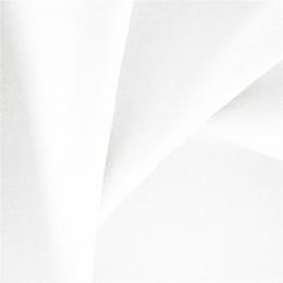Ткань Daylight Maline Swan