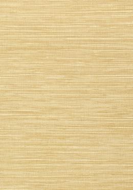 T75115 Обои Thibaut Faux Resource