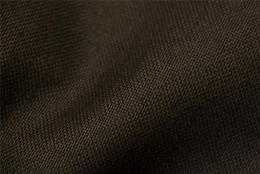 Ткань Daylight Guaro Seal Brown