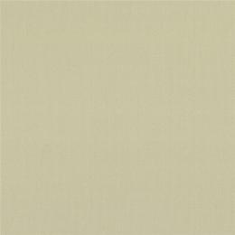 Ткань Daylight Manitu Putty