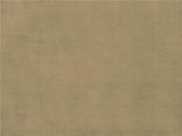 Ткань Espocada 212/21 Yves/Beige