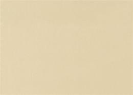 Ткань Espocada 210/21 Albion/Beige
