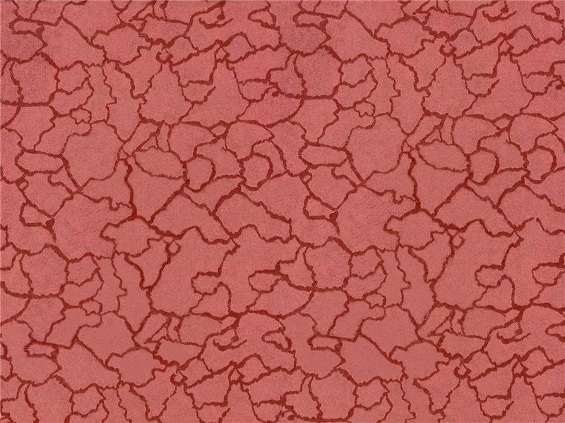 Ткань Espocada 202/30 Mystery/Coral