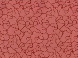 Ткань Espocada 202/30 Mystery/Coral