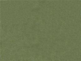 Ткань Espocada 194/51 Deep/Mild Green