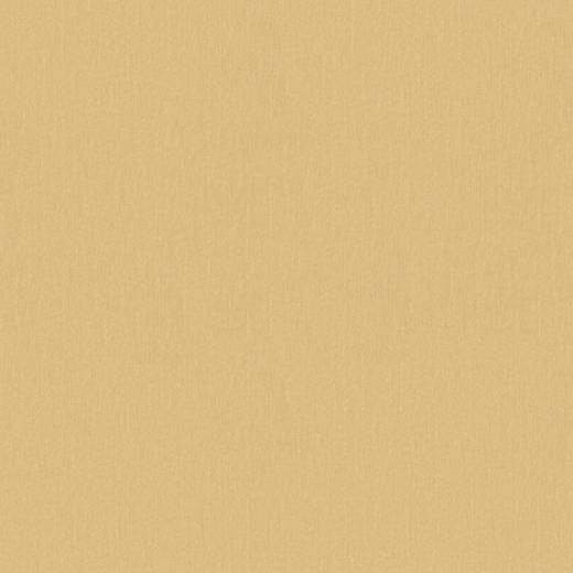 34327-5 Обои A.S. Creation Versace 4