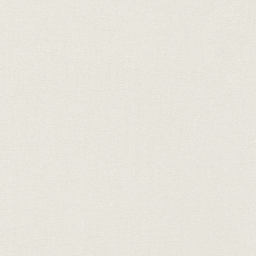 2973-10 Обои A.S. Creation Hygge
