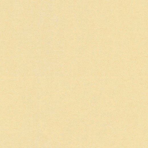 37050-7 Обои A.S. Creation Versace 4