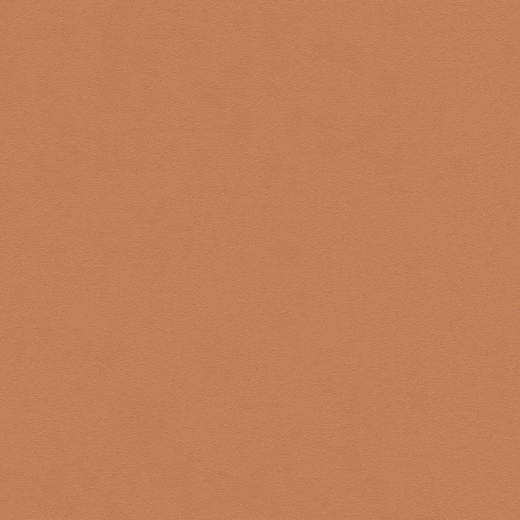 3750-63 Обои A.S. Creation Pop Style
