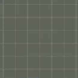 DM7-004-1 Обои Milassa Status III