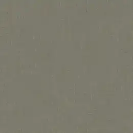 TXL5-005-2 Обои Loymina Textile