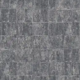 STC1-011-1 Обои Loymina Stucco