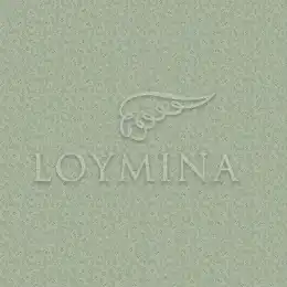 JET6 005 Обои Loymina Jetset