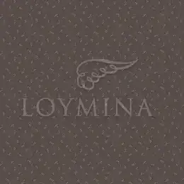 JET6 009 1 Обои Loymina Jetset