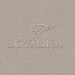 JET6 012 Обои Loymina Jetset