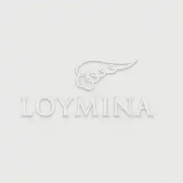 JET7 002 2 Обои Loymina Jetset