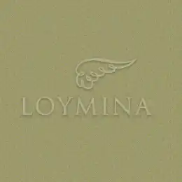 JET6 018 Обои Loymina Jetset
