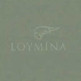 JET1 005 Обои Loymina Jetset