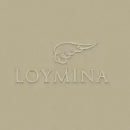 JET1 012 1 Обои Loymina Jetset