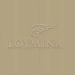JET2 004 1 Обои Loymina Jetset