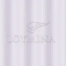 JET4 008 Обои Loymina Jetset