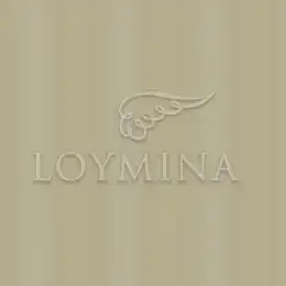 JET4 012 1 Обои Loymina Jetset