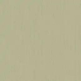 AS5005-1 Обои Loymina Amber Salon