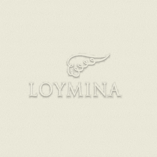 S 06 01 Обои Loymina Rosa Dragomirski