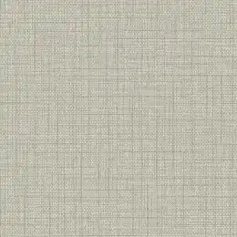 BV30308 Обои KT Exclusive Texture Gallery