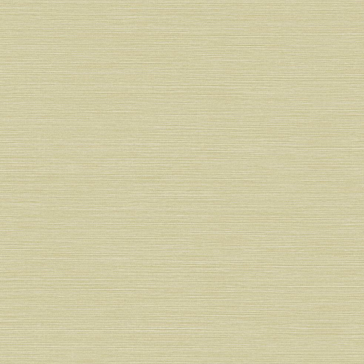 BV30413 Обои KT Exclusive Texture Gallery