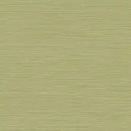 BV30424 Обои KT Exclusive Texture Gallery